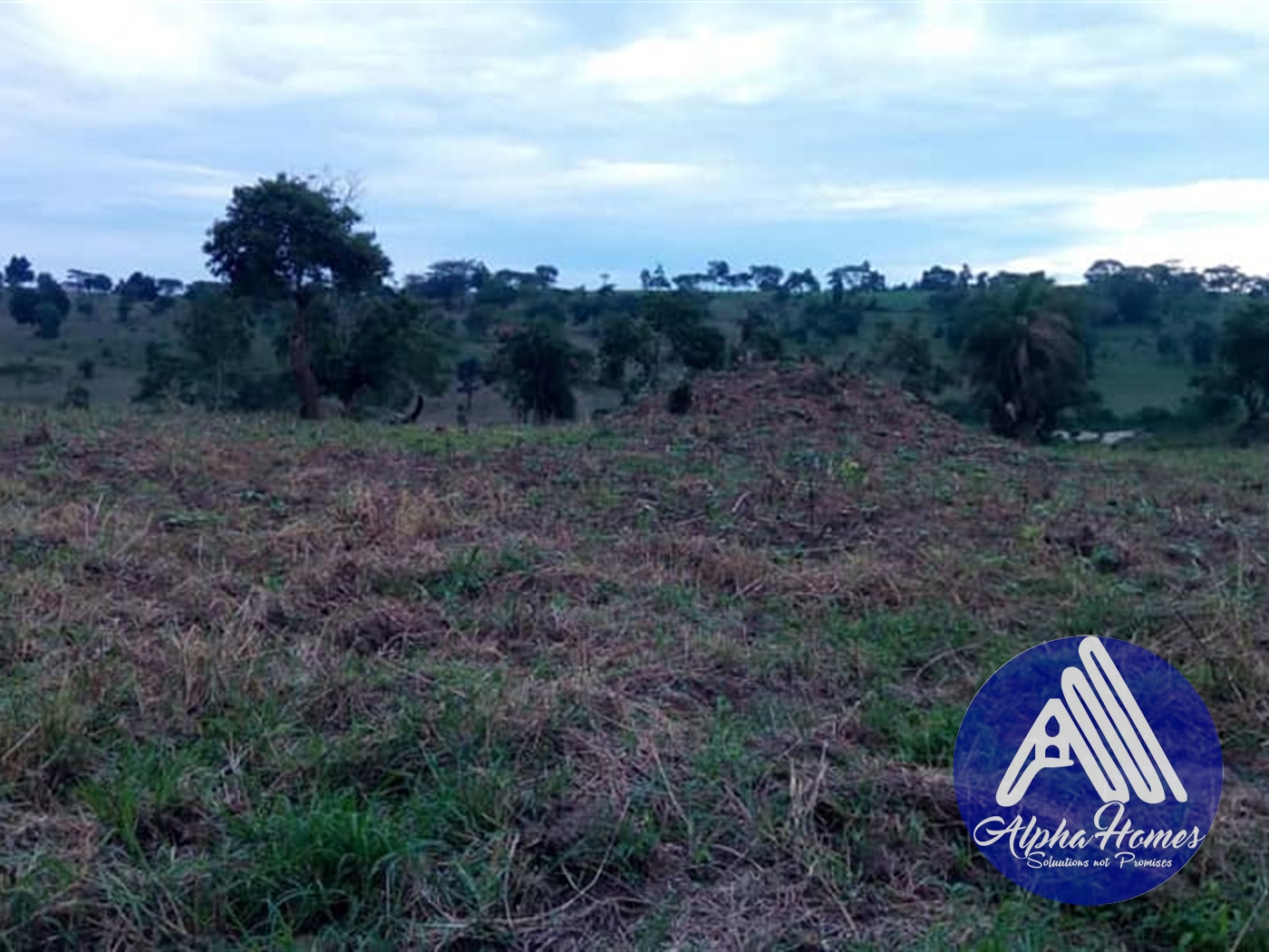 Agricultural Land for sale in Mubende Mubende