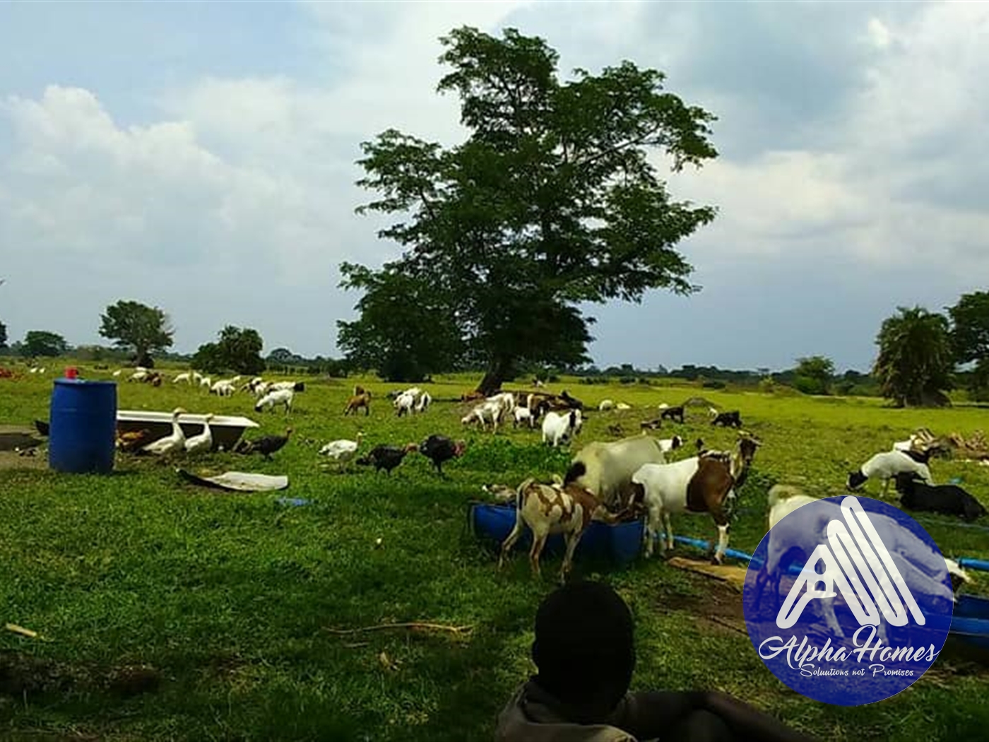 Agricultural Land for sale in Namasagali Jinja