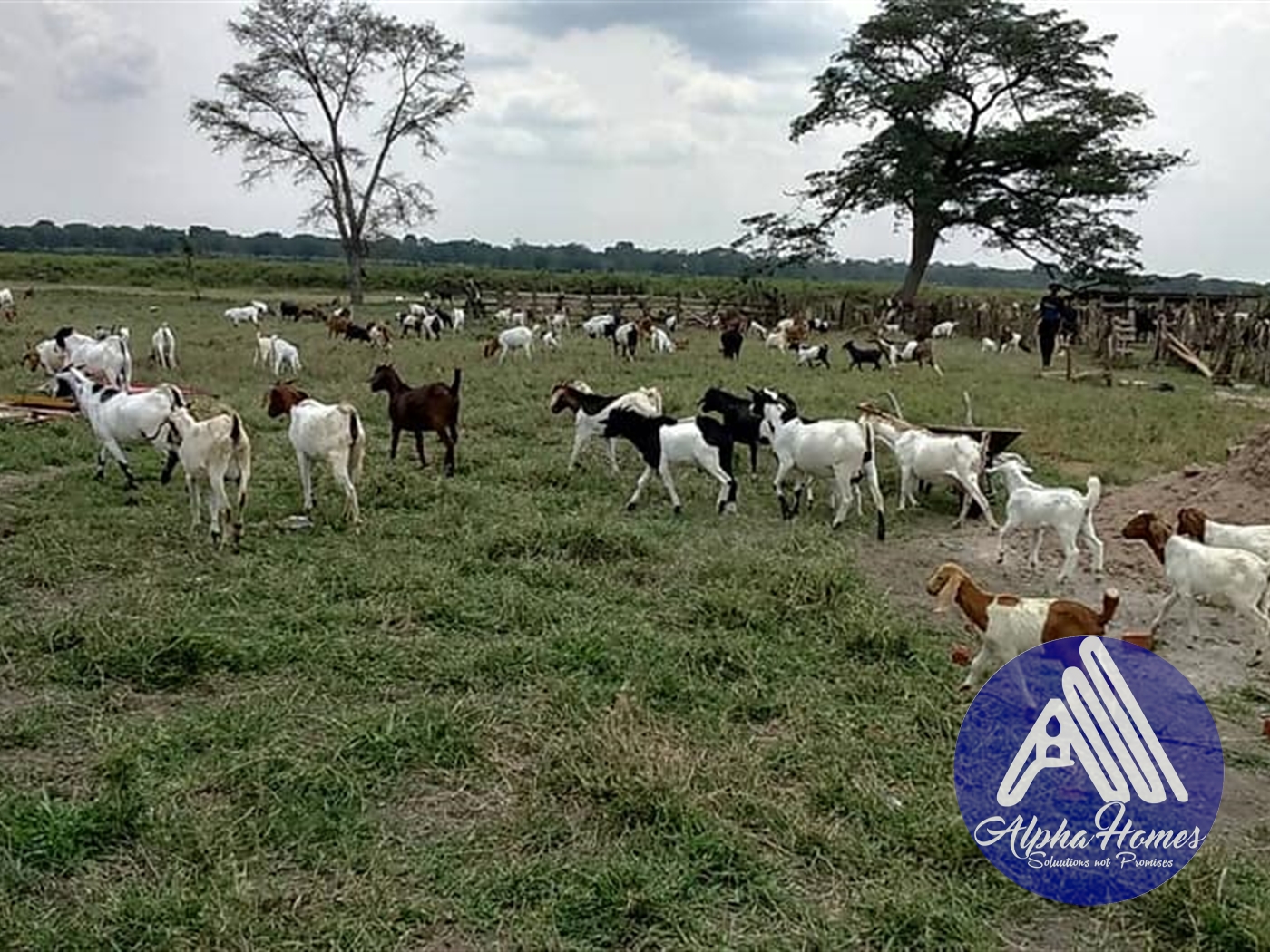 Agricultural Land for sale in Namasagali Jinja