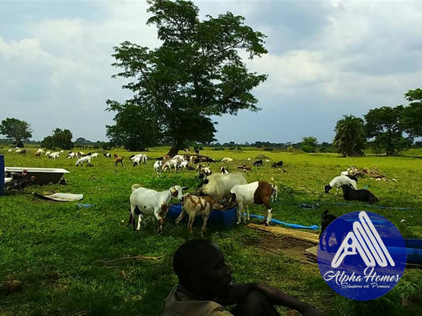 Agricultural Land for sale in Namasagali Jinja