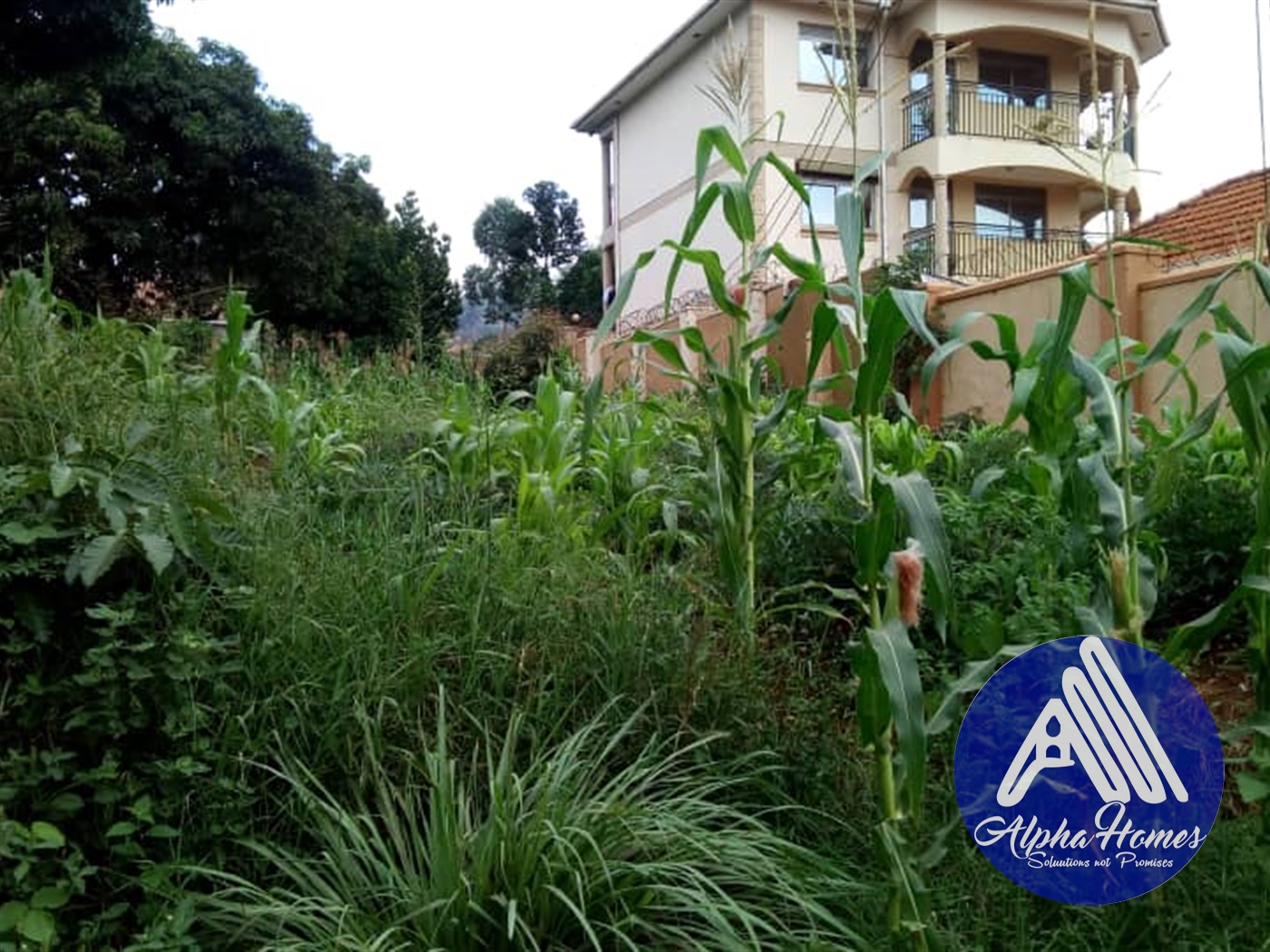 Residential Land for sale in Buziga Kampala