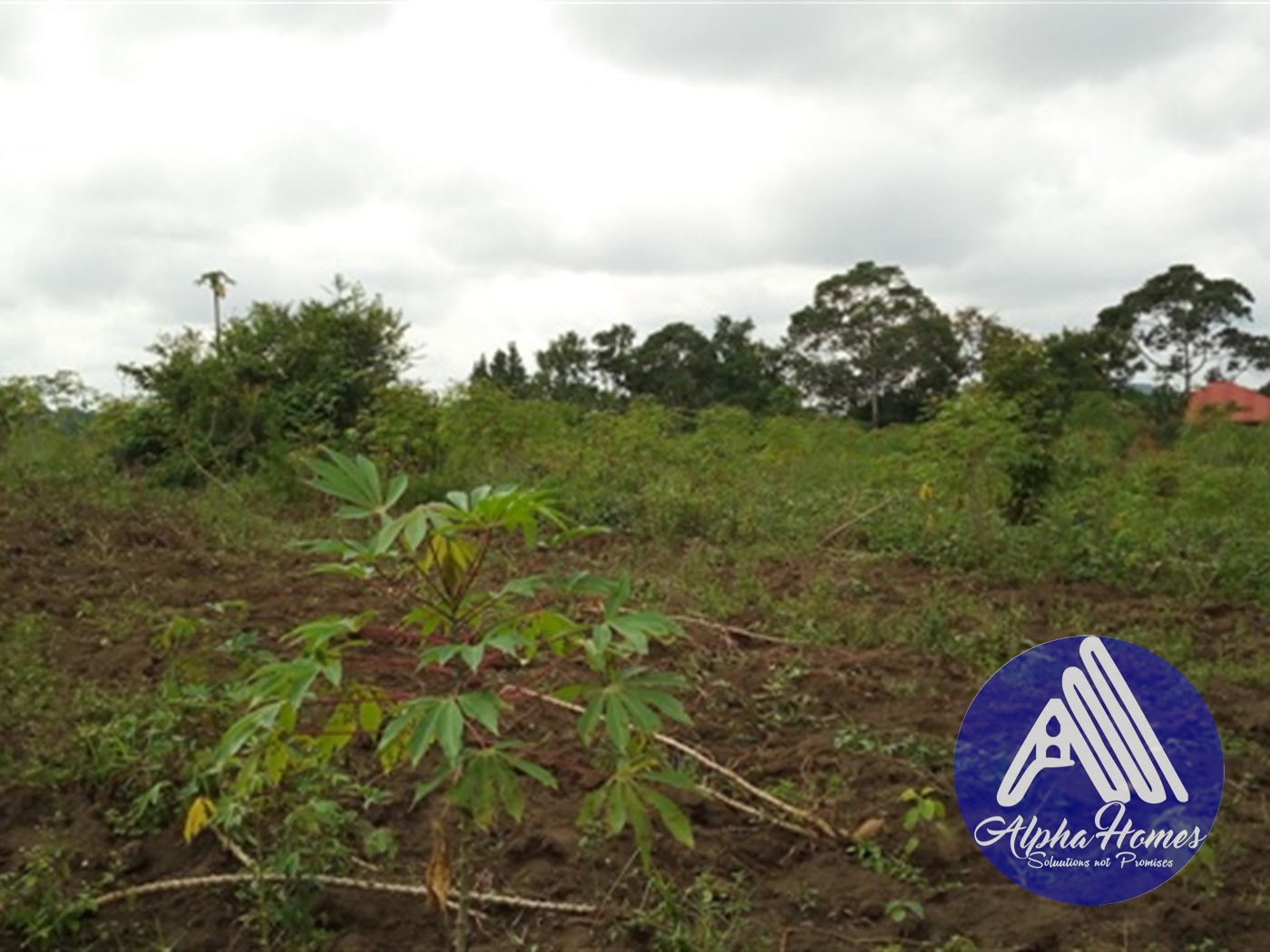 Residential Land for sale in Gayaza Wakiso