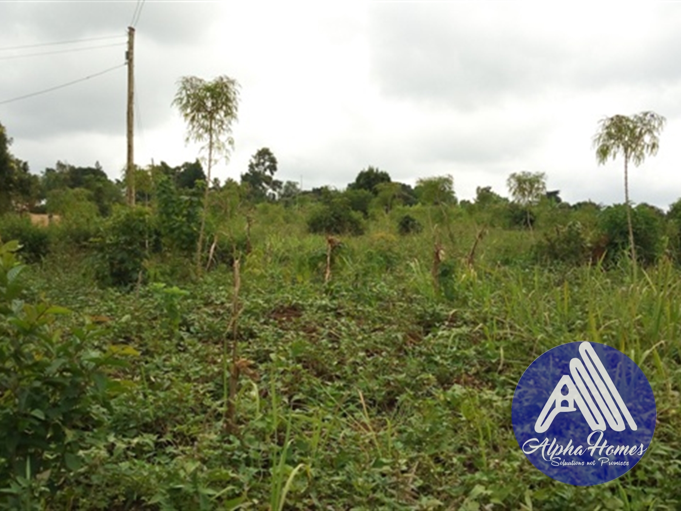 Residential Land for sale in Gayaza Wakiso