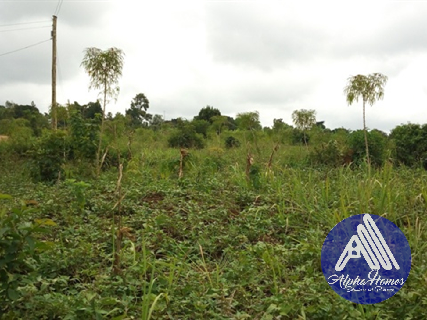 Residential Land for sale in Gayaza Wakiso