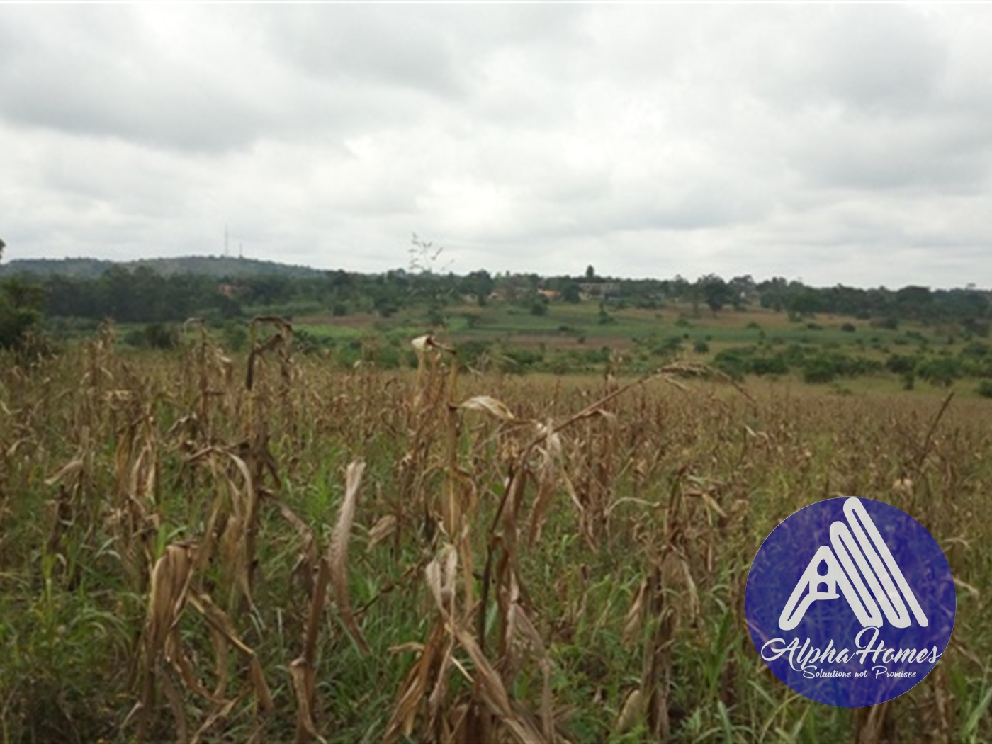 Residential Land for sale in Gayaza Wakiso