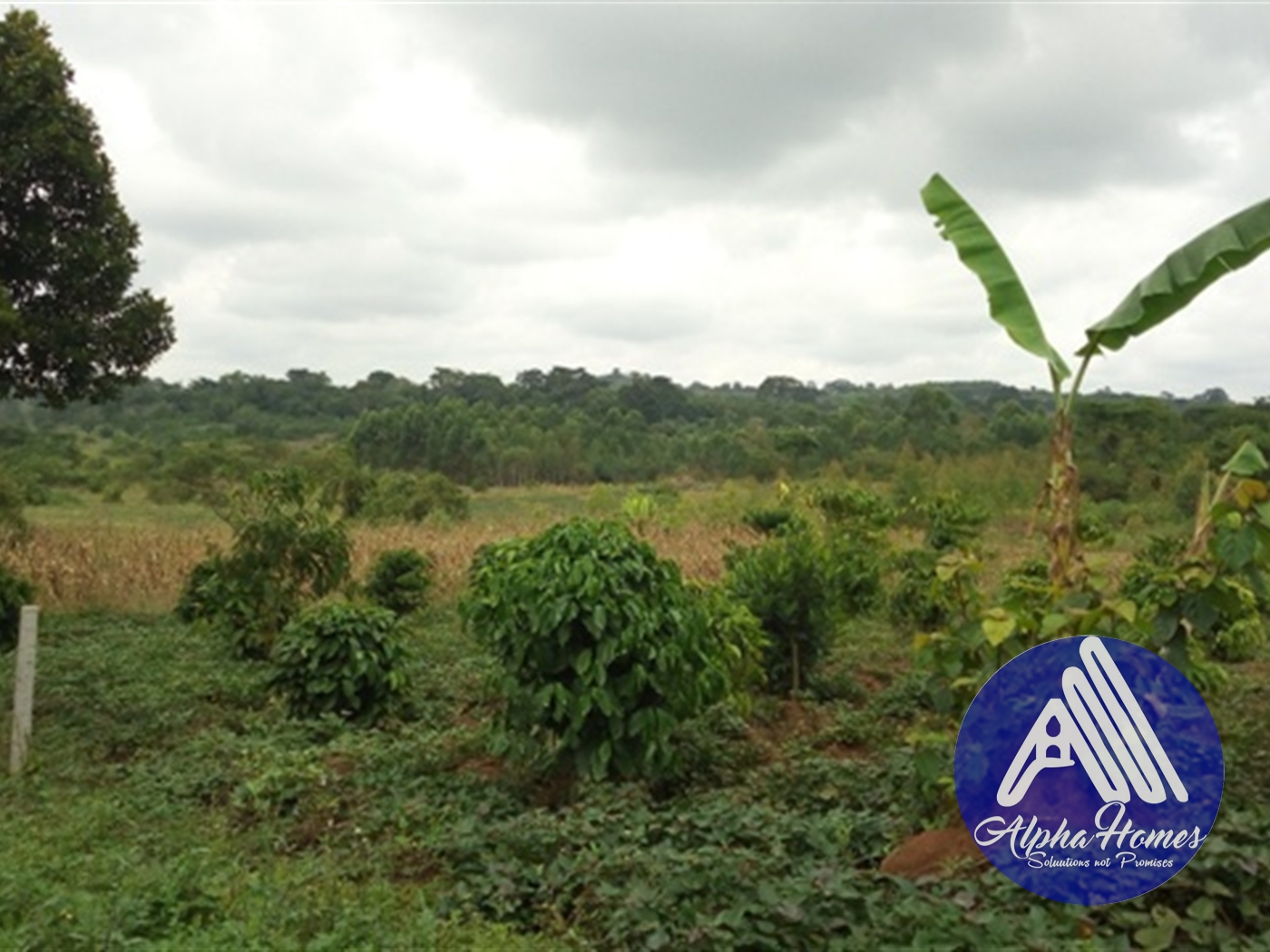 Residential Land for sale in Gayaza Wakiso