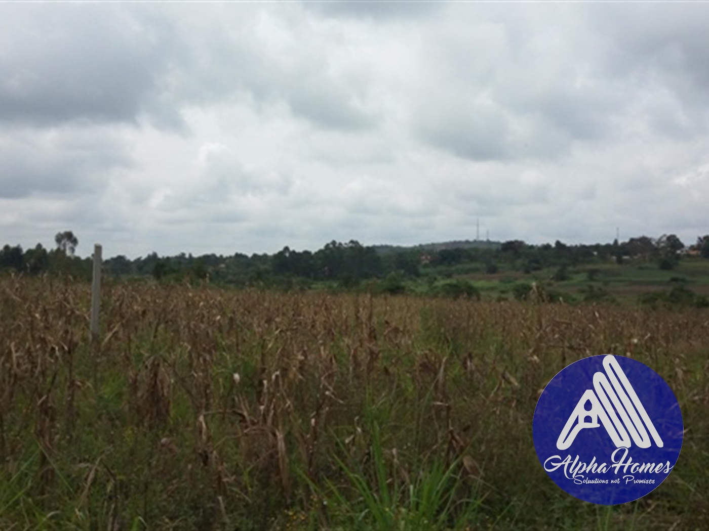 Residential Land for sale in Gayaza Wakiso