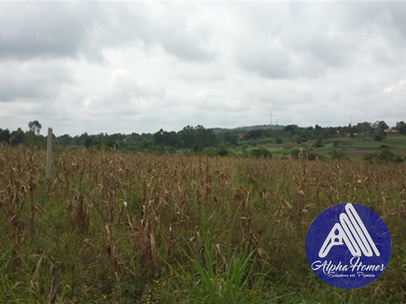 Residential Land for sale in Gayaza Wakiso