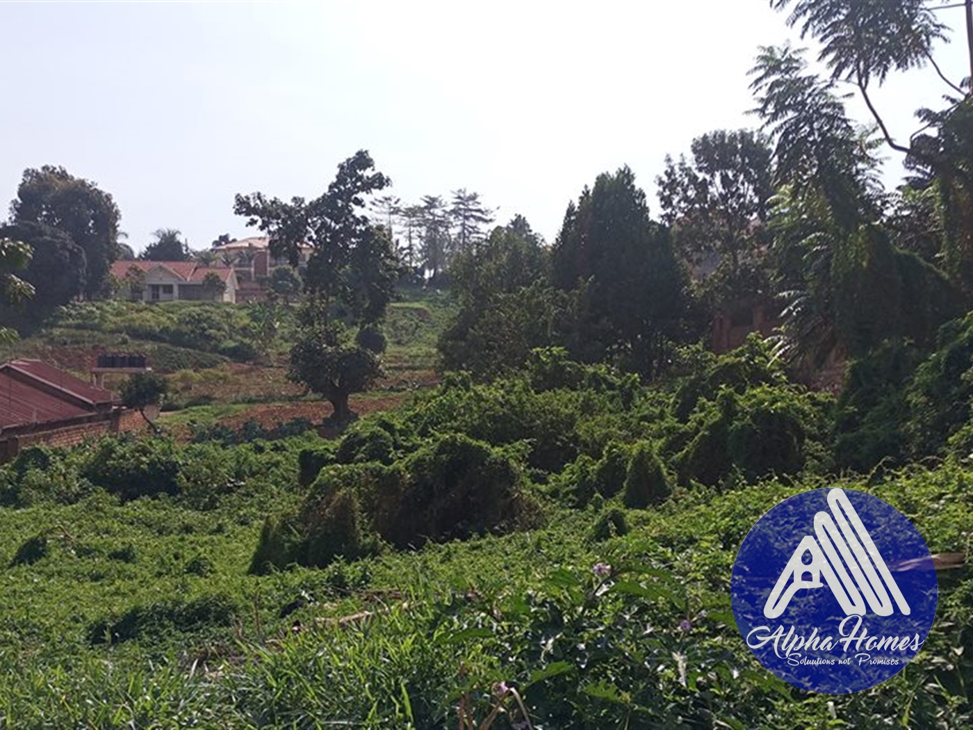 Commercial Land for sale in Ntinda Kampala