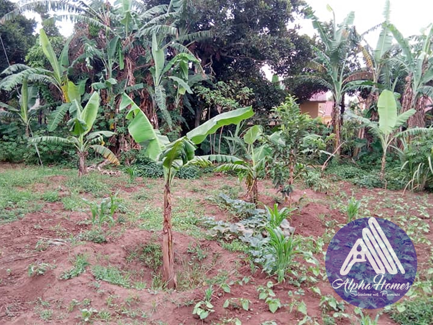 Bungalow for sale in Bweyogerere Wakiso