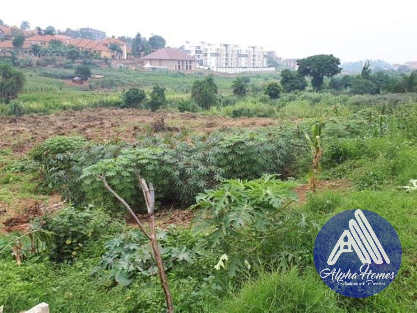 Agricultural Land for rent in Naalya Kampala