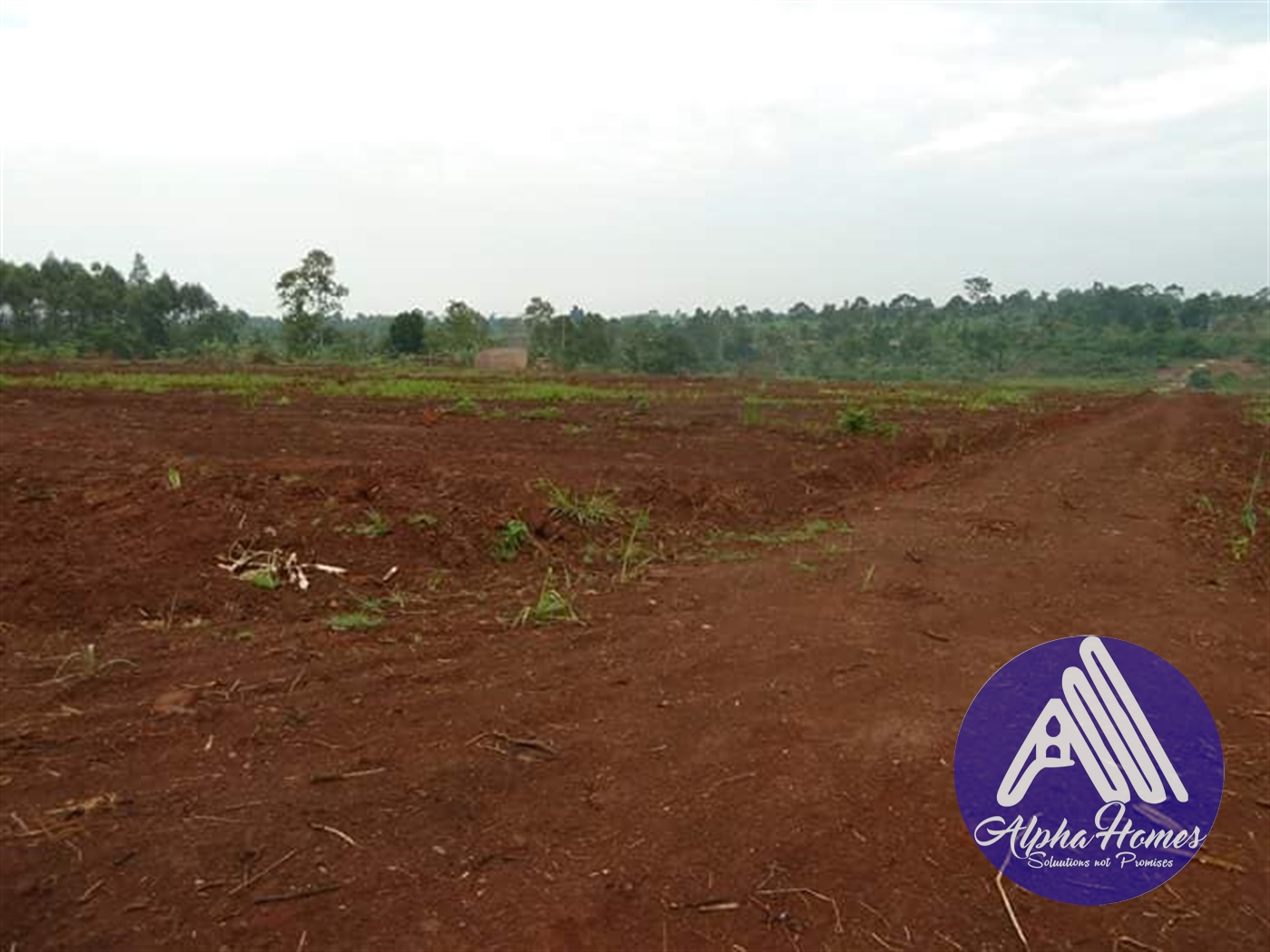 Residential Land for sale in Jjoggo Mukono