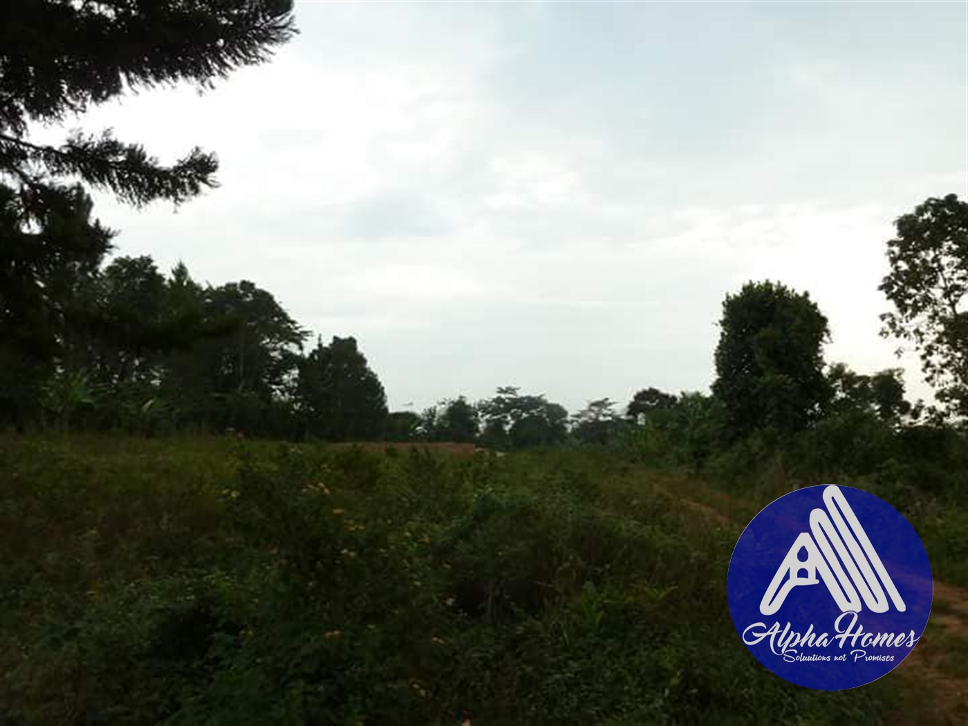 Residential Land for sale in Nsambwe Mukono