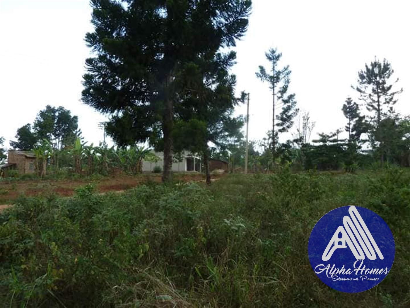 Residential Land for sale in Nsambwe Mukono