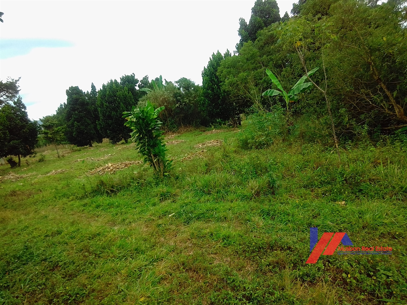 Residential Land for sale in Kitende Wakiso