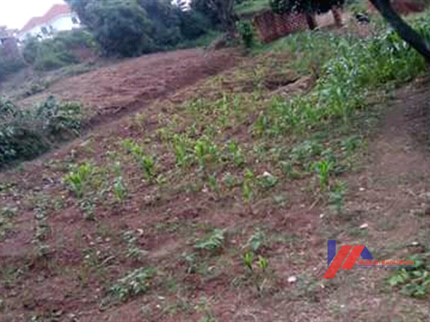 Multipurpose Land for sale in Entebbe Kampala