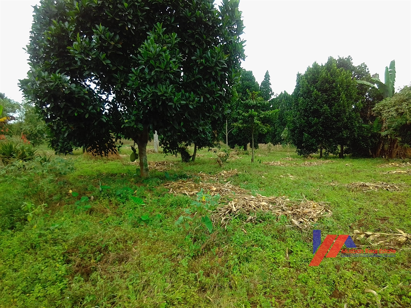 Residential Land for sale in Kitende Wakiso