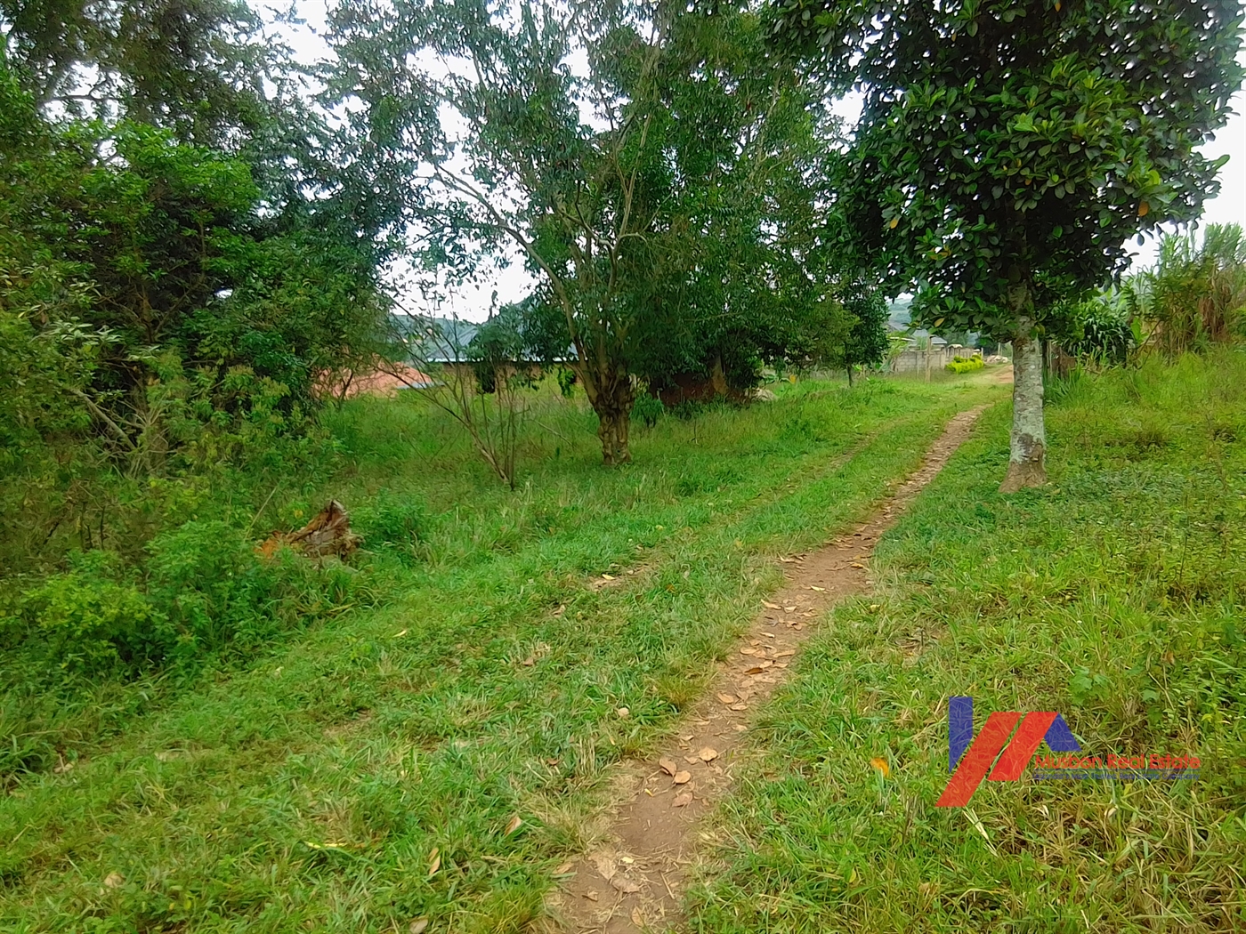 Residential Land for sale in Kitende Wakiso