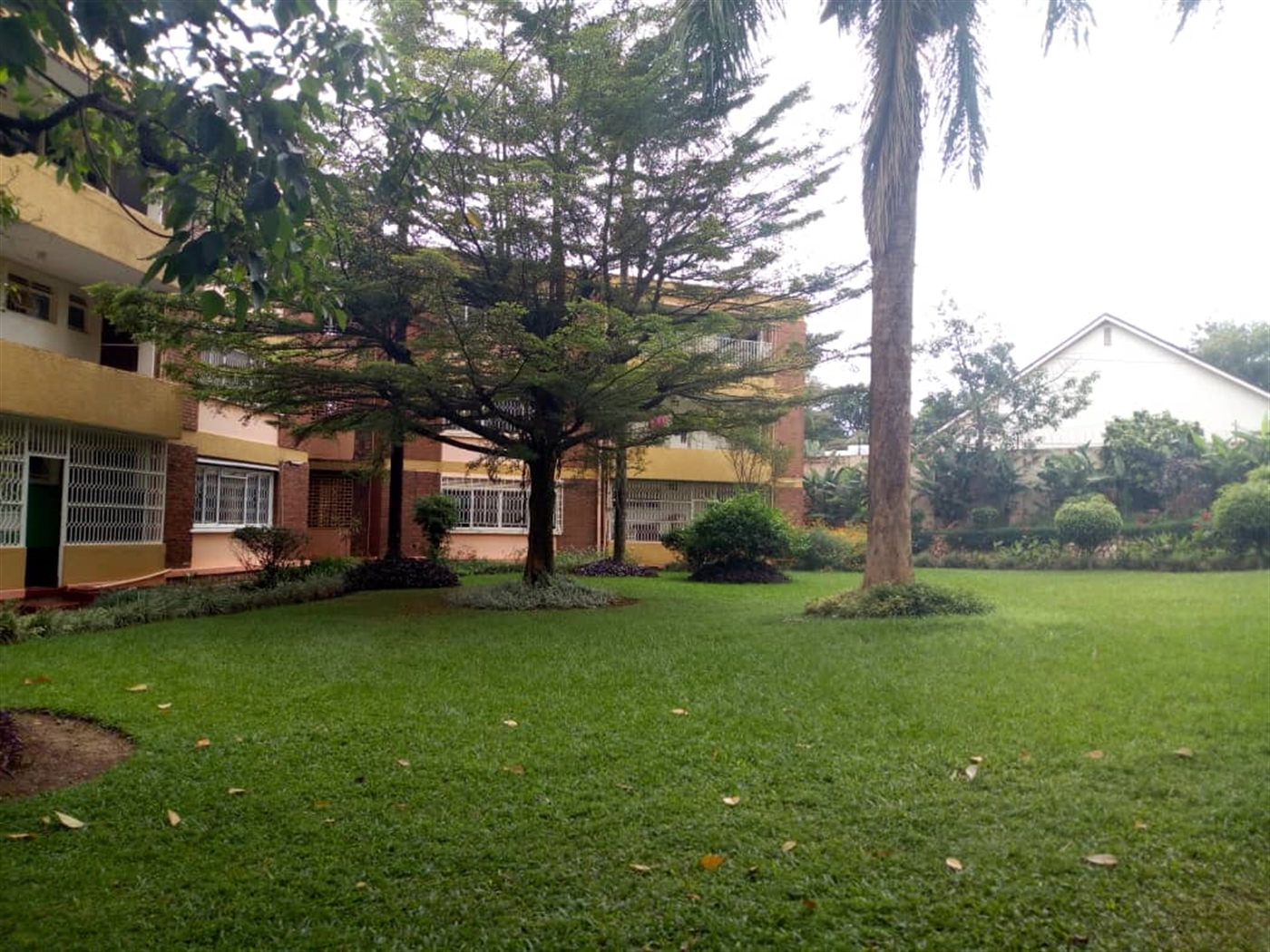 Apartment for rent in Bugoloobi Kampala