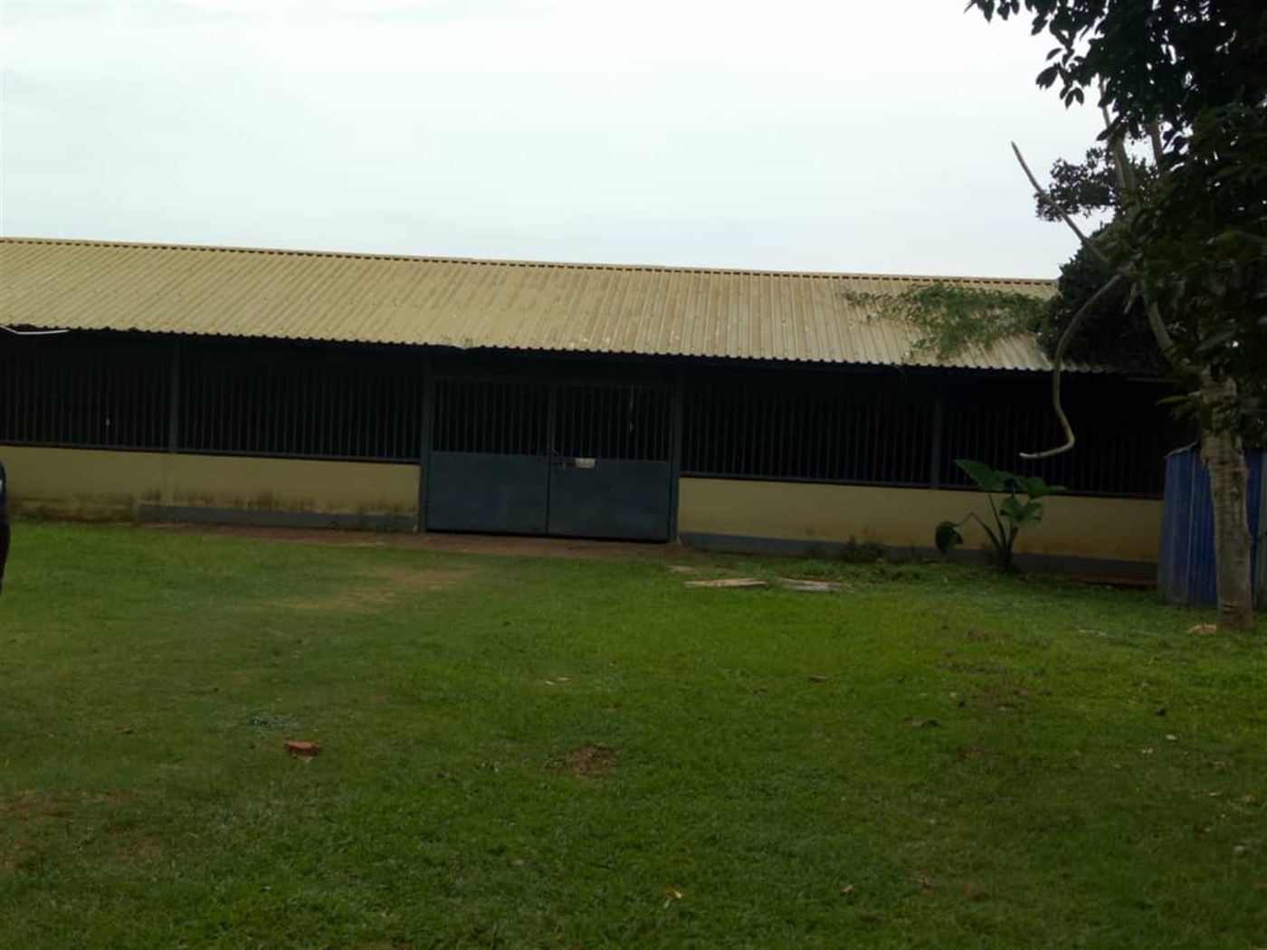 Office Space for rent in Mbuya Wakiso
