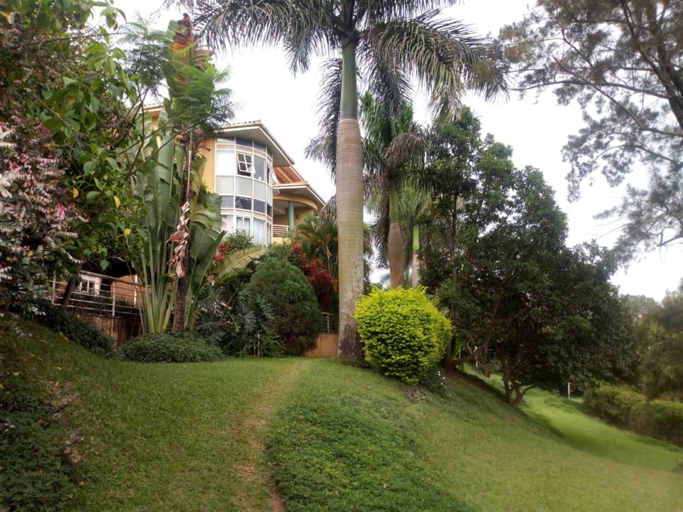 Apartment for rent in Mbuya Wakiso