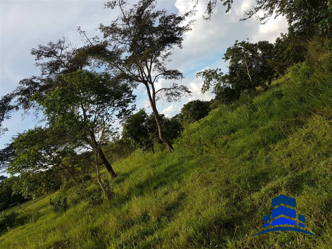 Agricultural Land for sale in Kashari Mbarara