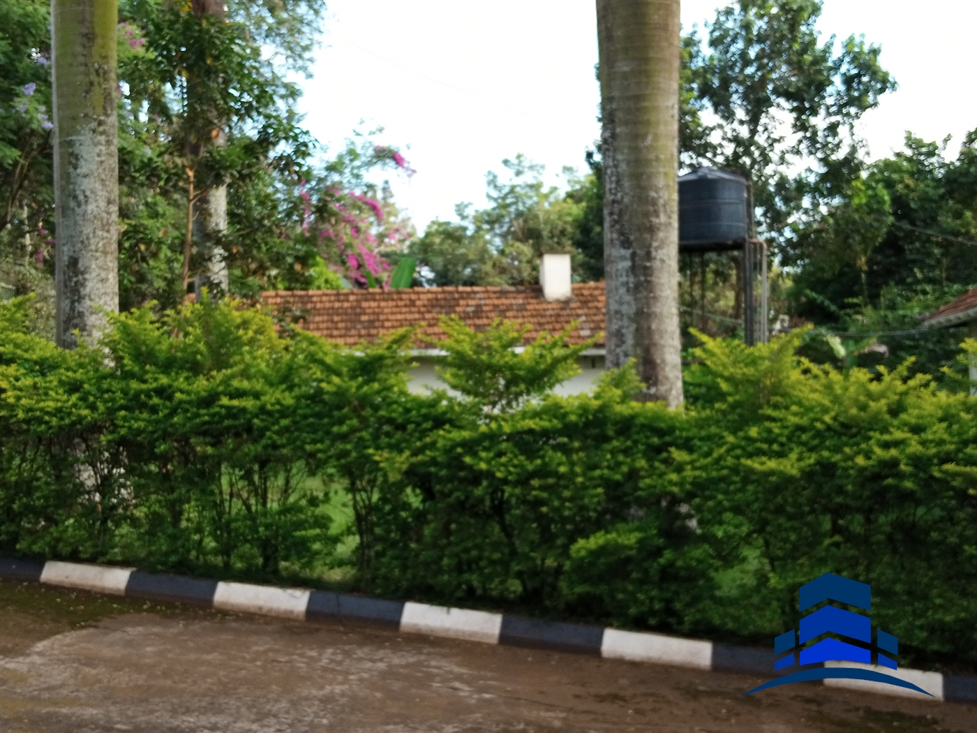 Bungalow for rent in Kololo Kampala