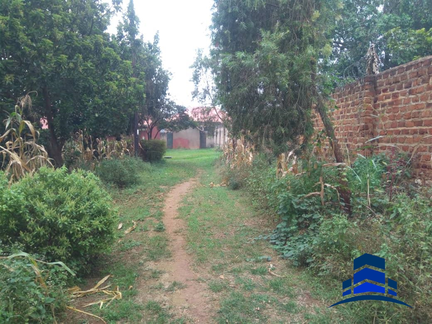 Duplex for rent in Naguru Kampala