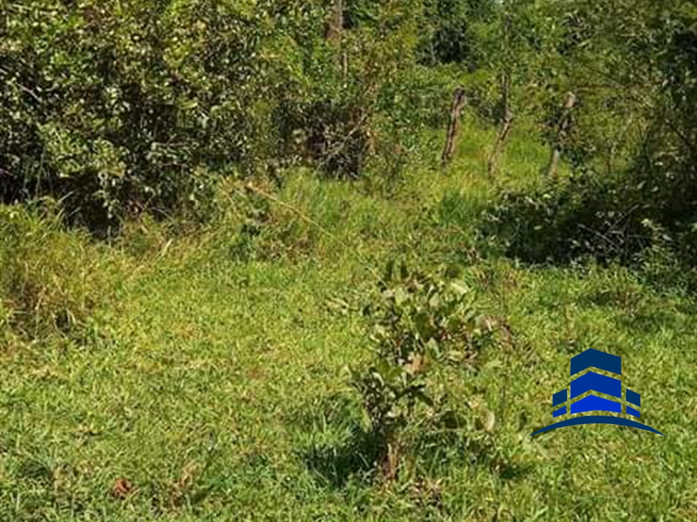 Agricultural Land for sale in Mukiyunga Mubende