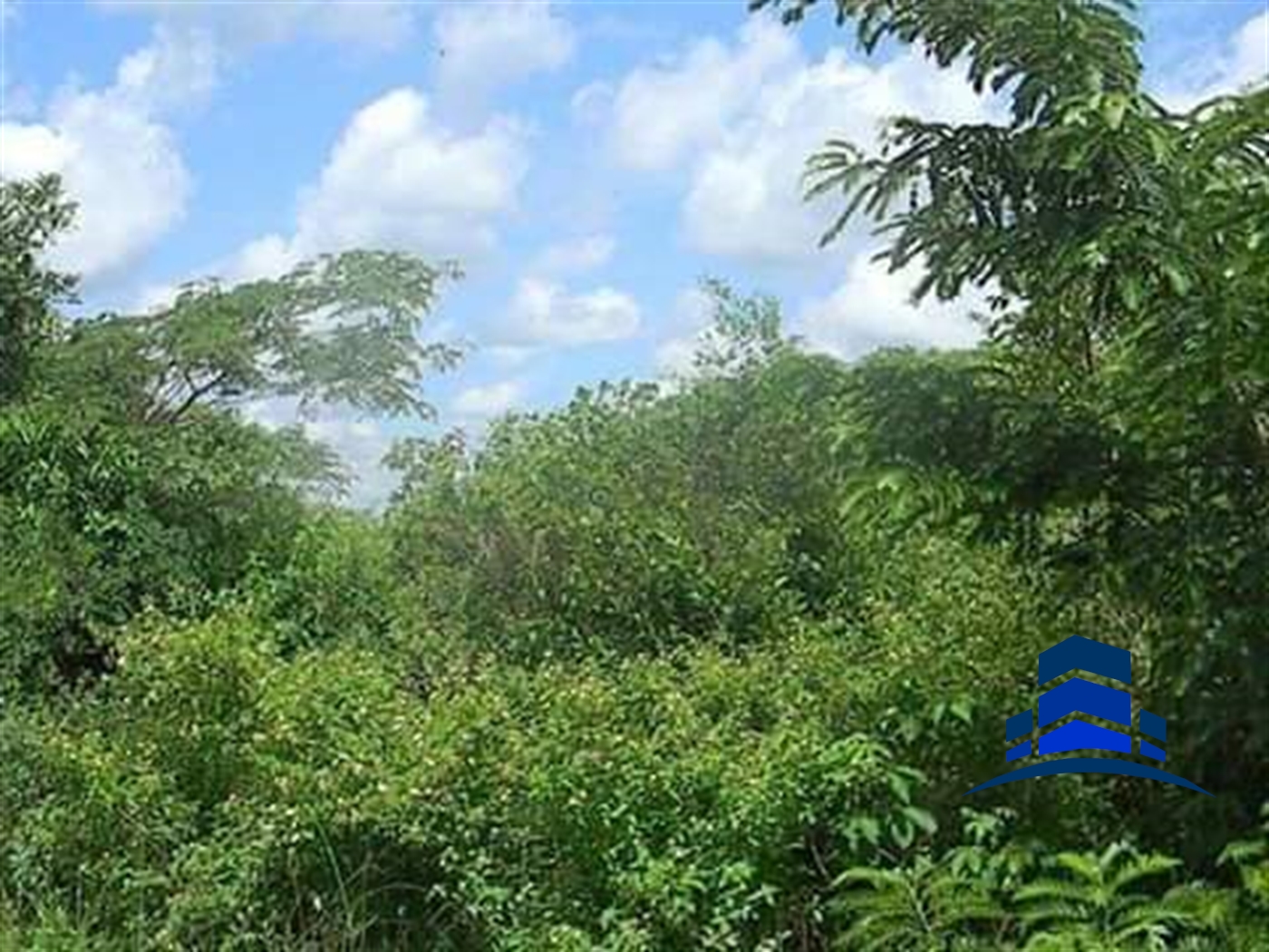 Agricultural Land for sale in Mukiyunga Mubende
