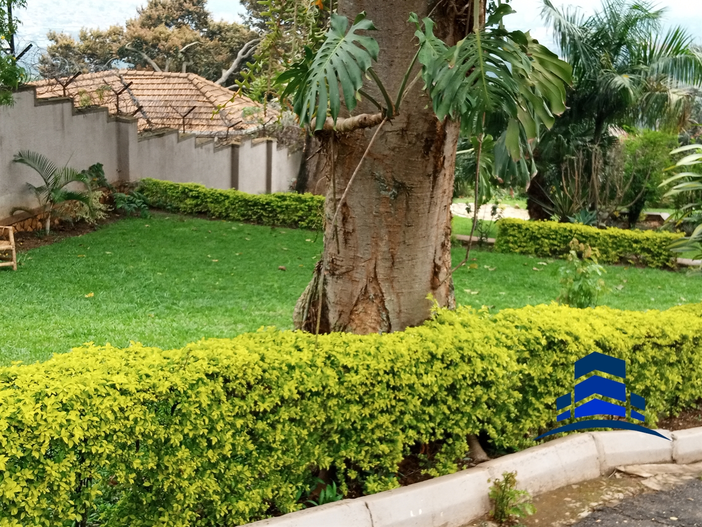 Bungalow for rent in Mbuya Kampala