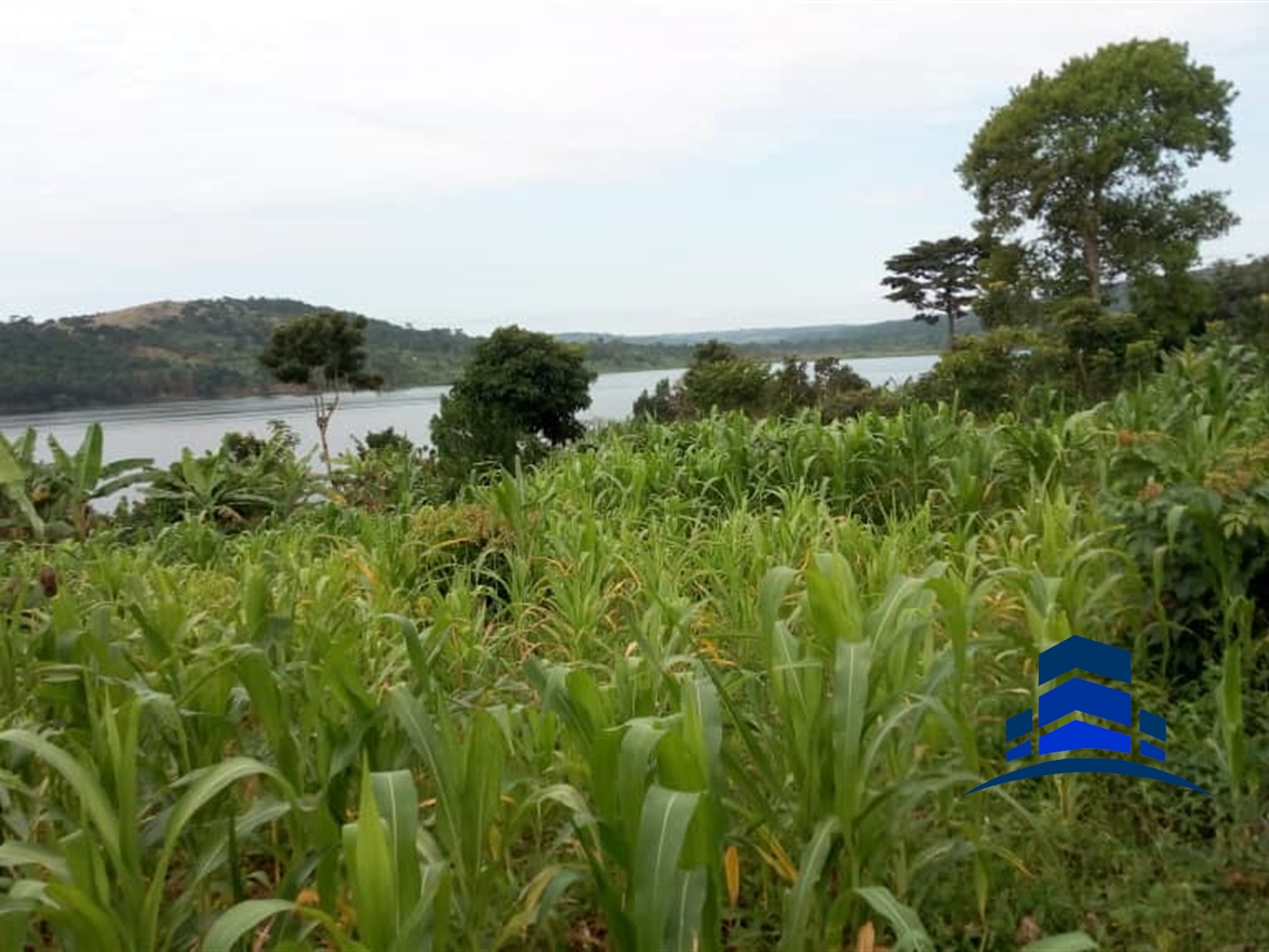 Commercial Land for sale in Ssenyi Buyikwe