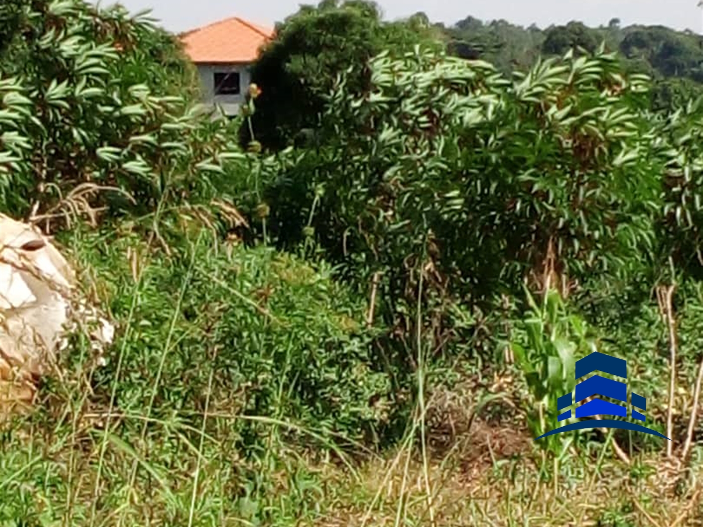 Agricultural Land for sale in Busiro Wakiso