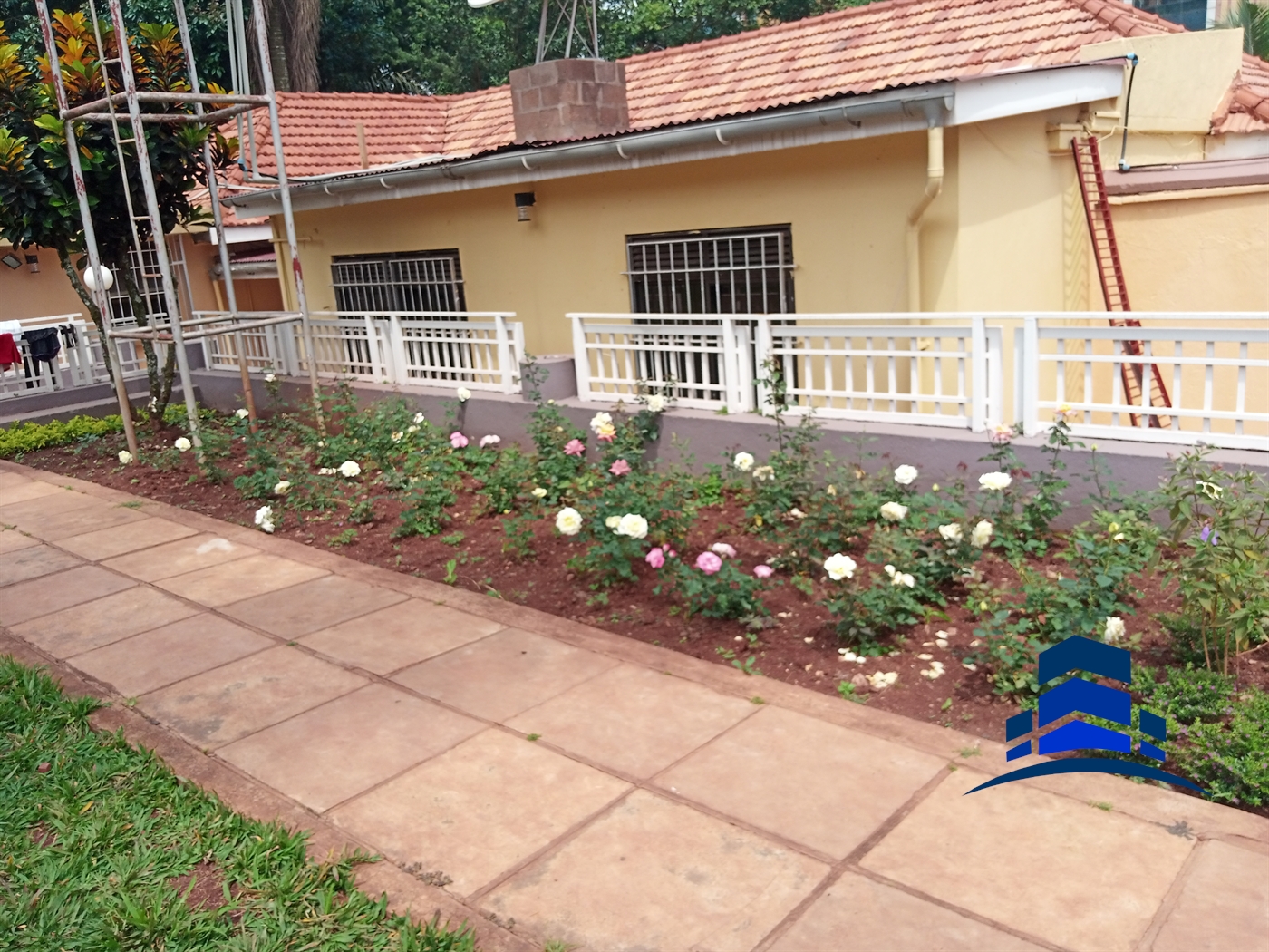 Bungalow for rent in Kololo Kampala