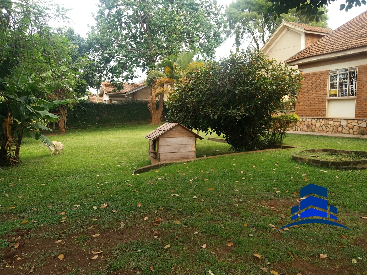 Bungalow for rent in Naguru Kampala