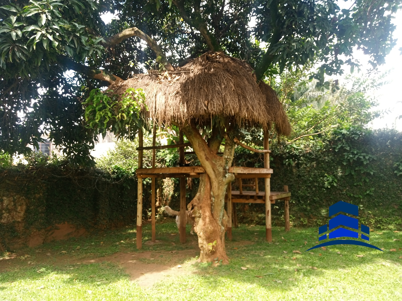 Bungalow for rent in Naguru Kampala