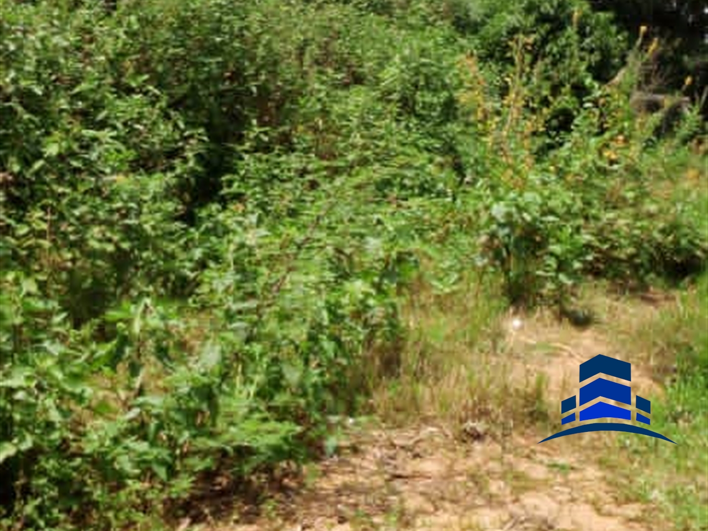 Multipurpose Land for sale in Kiwuule Wakiso