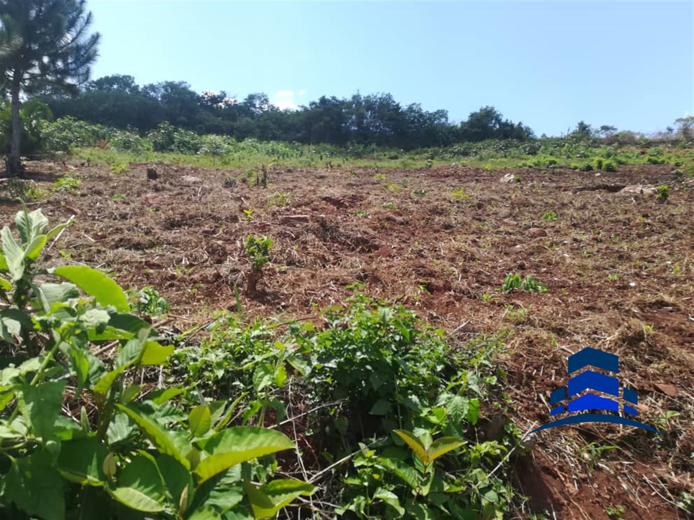 Multipurpose Land for sale in Namawojjolo Mukono