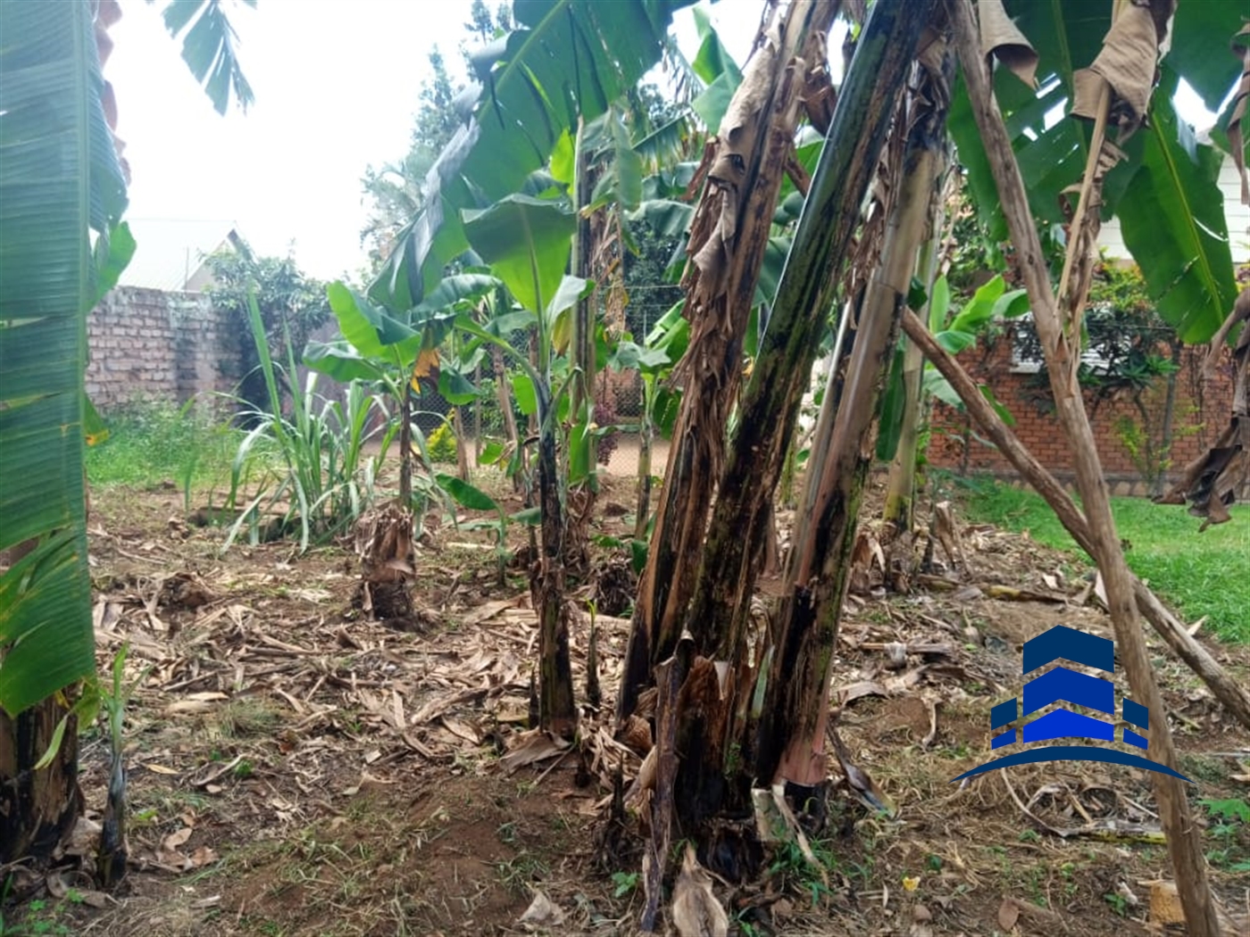 Multipurpose Land for sale in Entebbe Wakiso