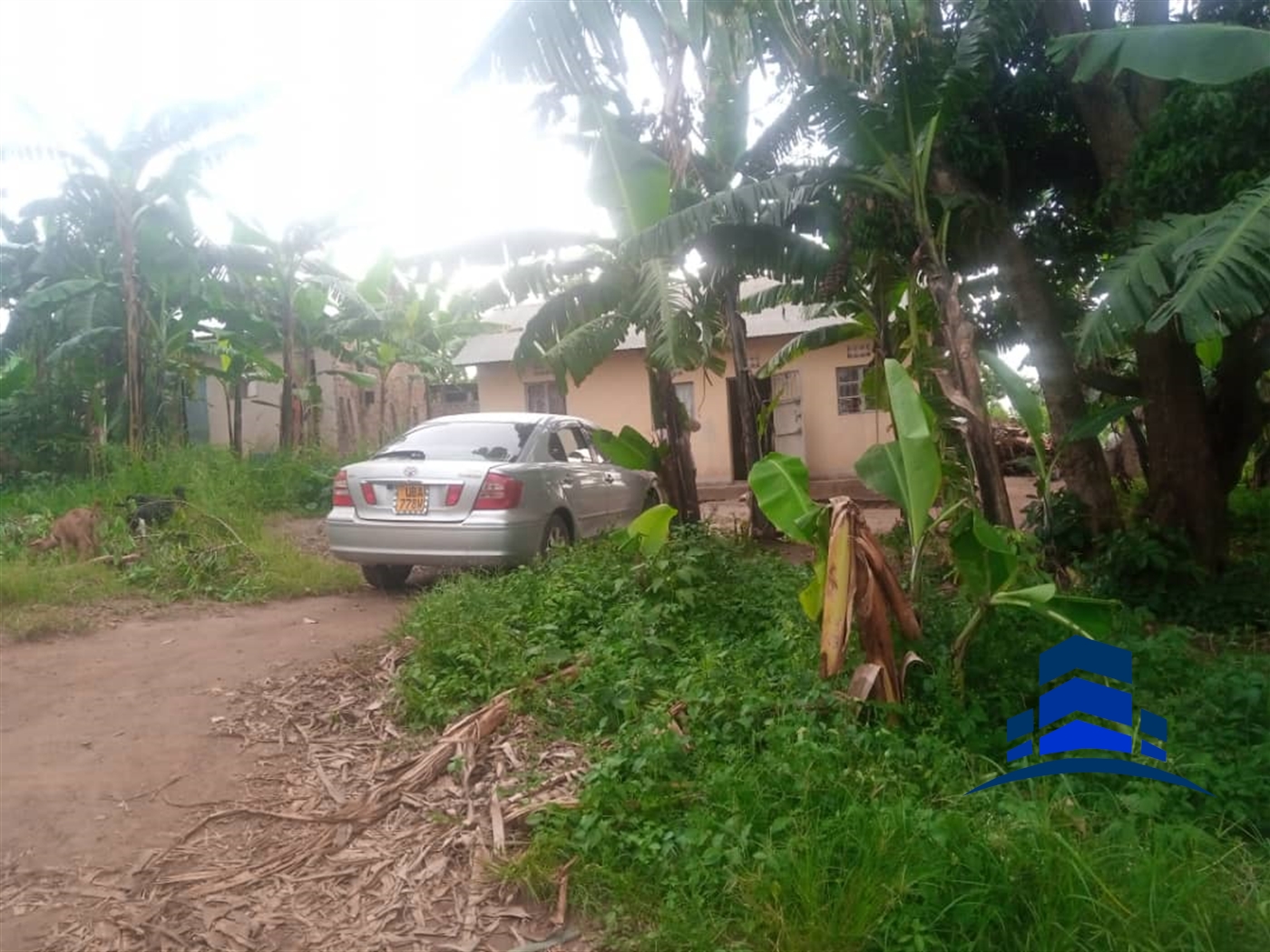 Bungalow for sale in Buwambo Wakiso