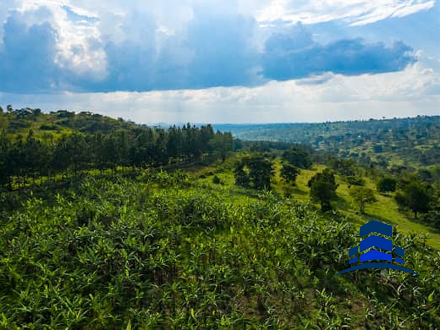 Farm for sale in Mubende Mubende