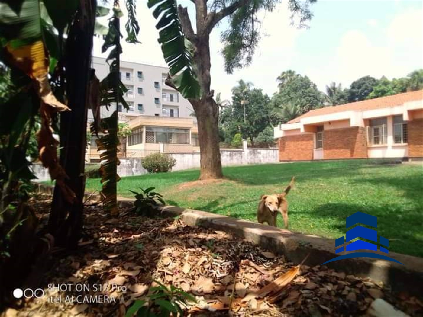 Bungalow for sale in Bugoloobi Kampala