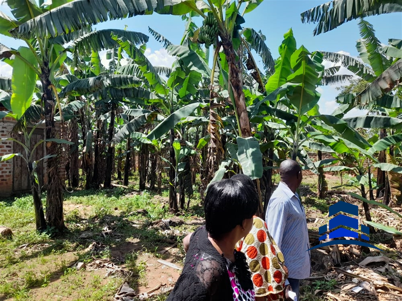 Bungalow for sale in Kakiri Wakiso