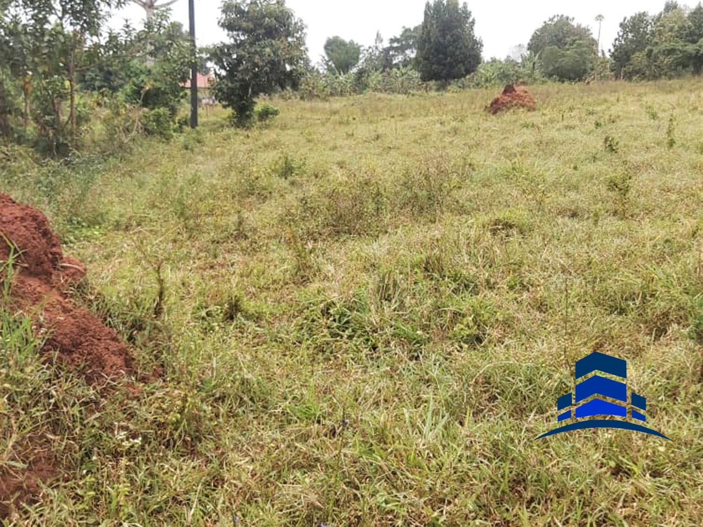 Agricultural Land for sale in Mazzi Wakiso