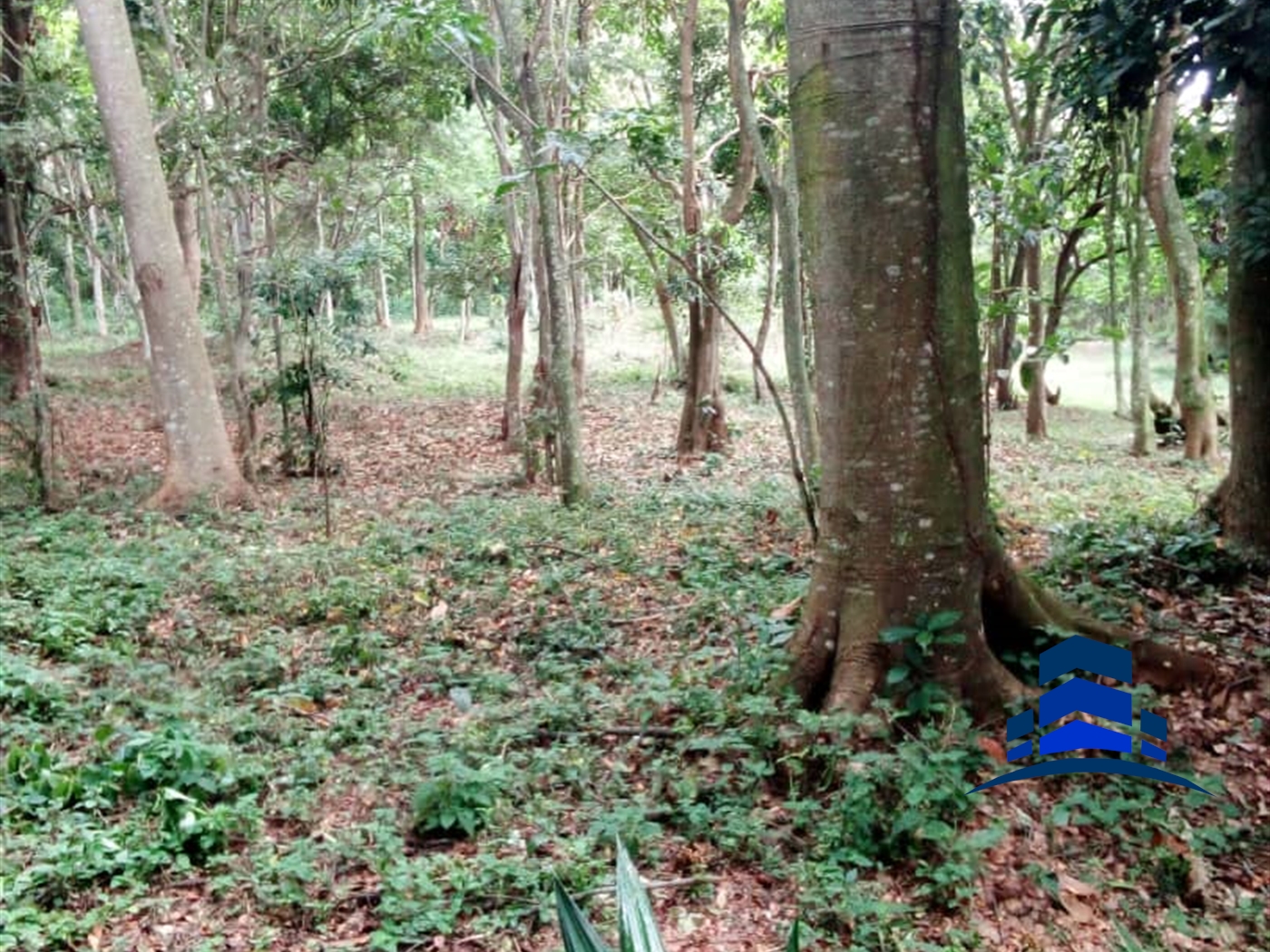 Recreational Land for sale in Garuga Wakiso