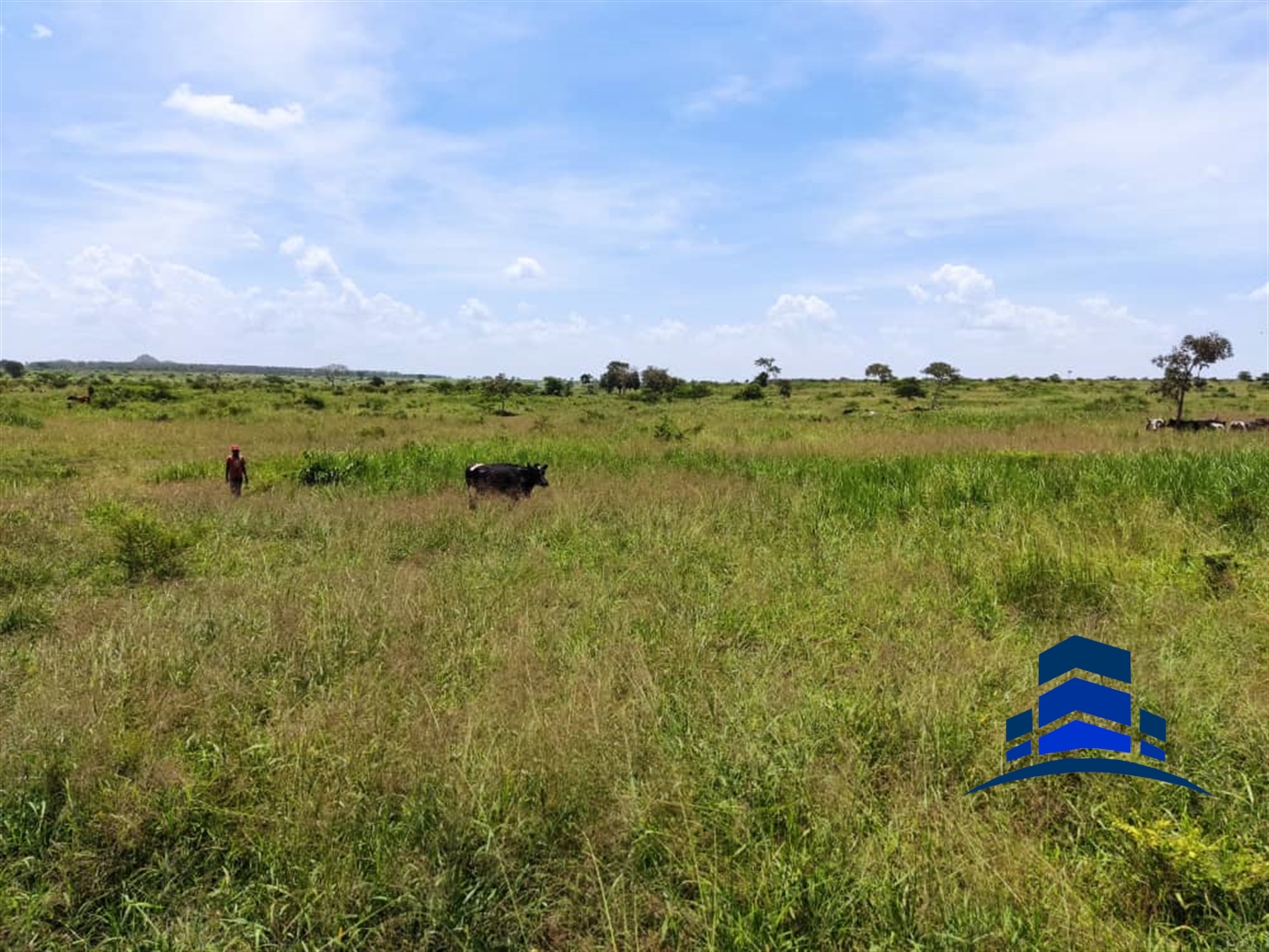 Agricultural Land for sale in Kigumba Kiryandongo