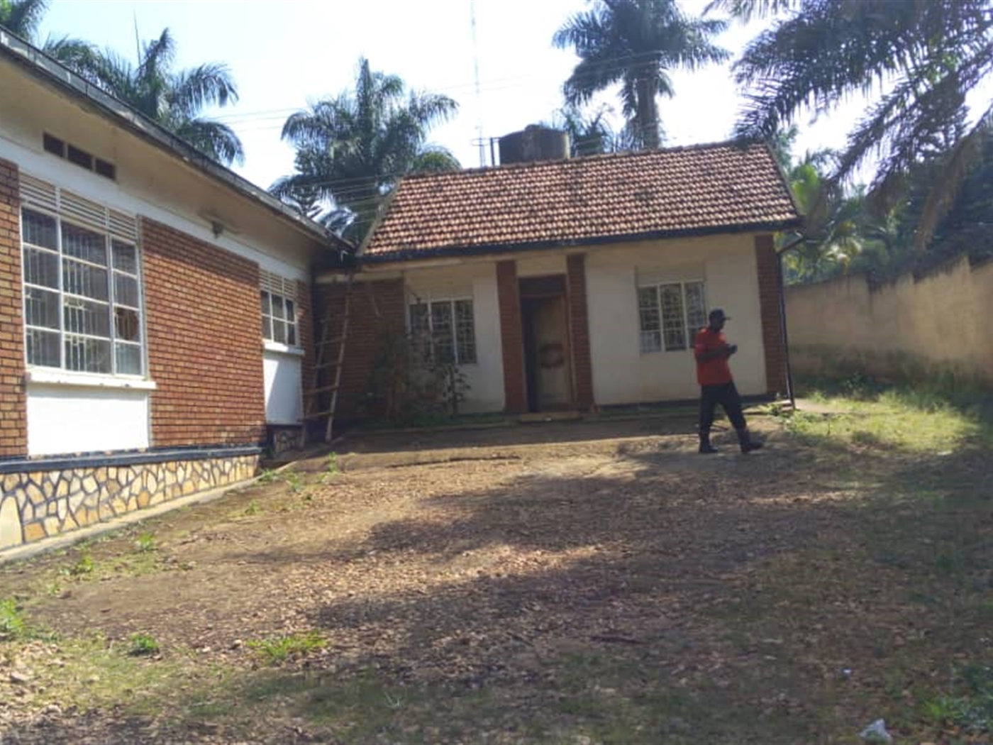 Bungalow for rent in Kololo Kampala