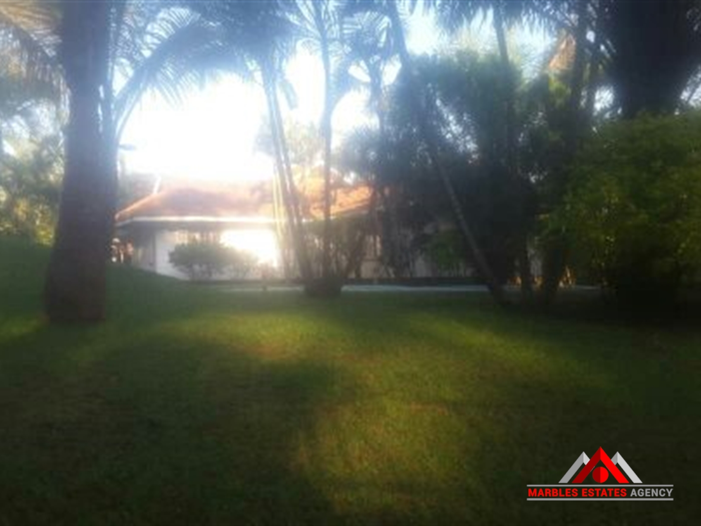 Bungalow for rent in Kololo Kampala