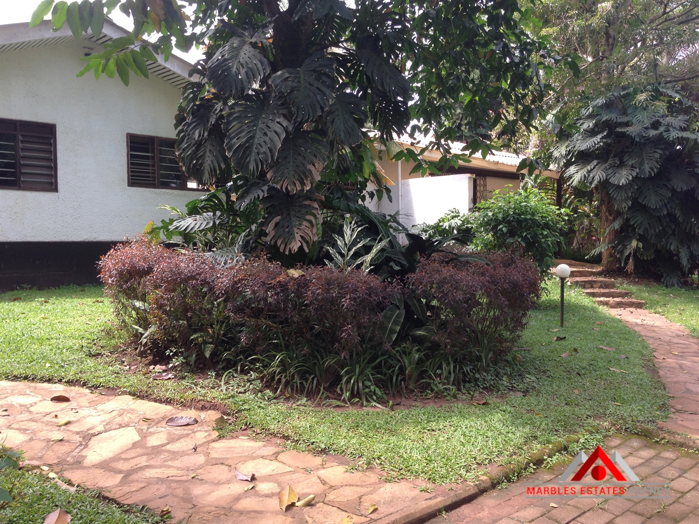 Bungalow for rent in Bugoloobi Kampala