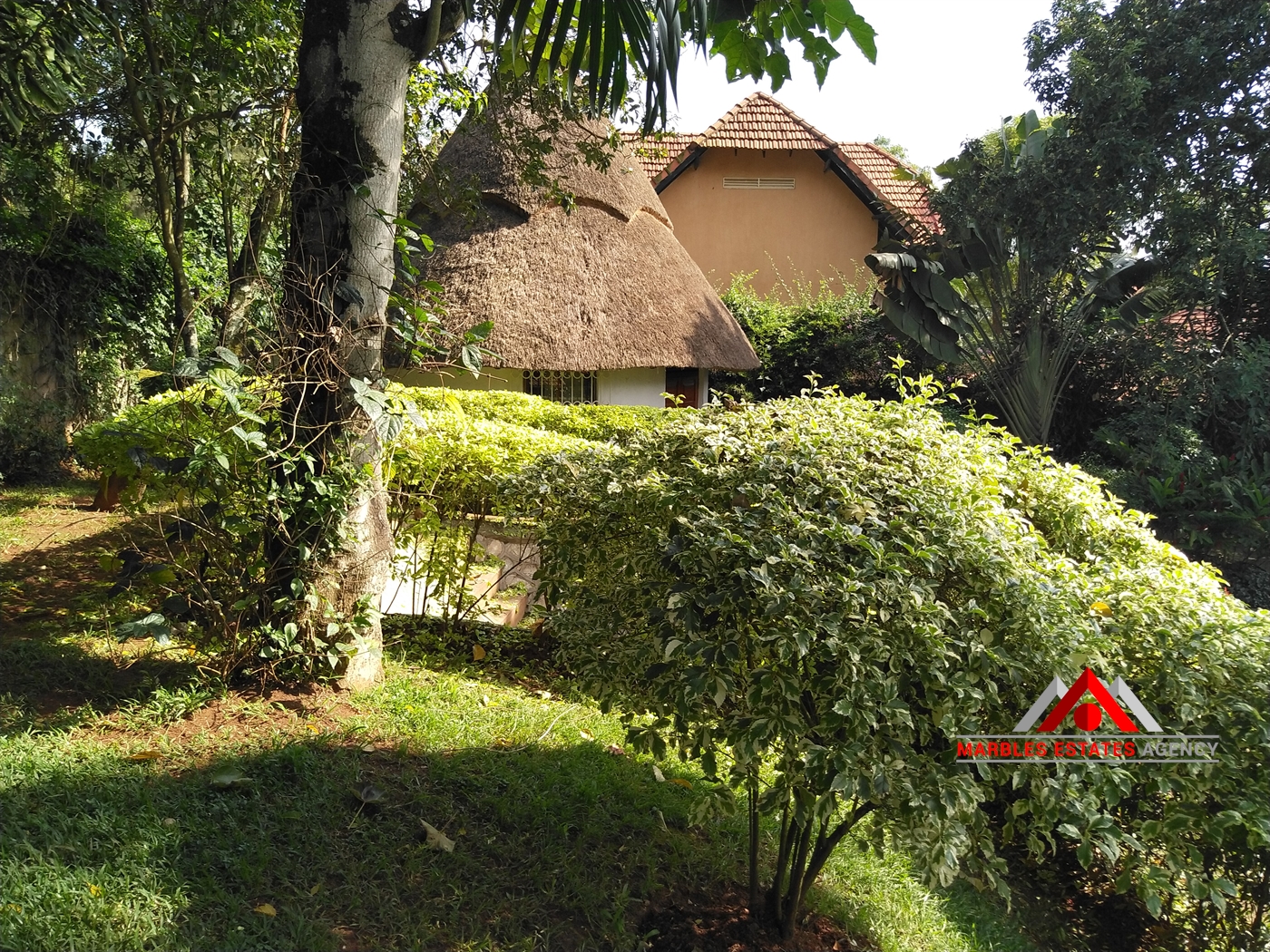 Bungalow for rent in Bugoloobi Kampala